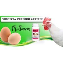 MULTİVERM Yumurta verimini Artırıcı - Gelişim için Tavuk Civciv Kaz Keklik Muhabbet Kuşu Kanarya Güvercin Multivitamin Vitamin