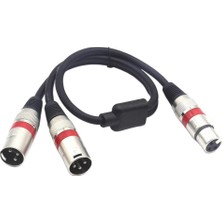 Prettyia Xlr Ayırıcı Kablo Kadın Çift Erkek Y 3-Pin Denge Mikrofon Kablo Hattı (Yurt Dışından)