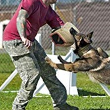 Kesoto Köpek Eğitimi İçin Kol Koruması - Kahverengi (Yurt Dışından)