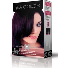 Sea Color 3.66 Patlıcan Moru Set Boya