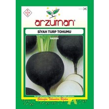 Arzuman Siyah Turp Sebze Tohumu 25 gr