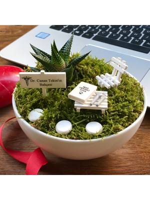 Diş Hekimine Hediye Minyatür Bahçe - Luna Koleksiyonu