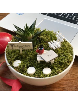 Doktora Hediye Sukulent Teraryum - Luna Koleksiyonu