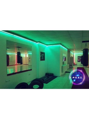 Noas 5 Metre Rgb Silikonsuz Şerit LED