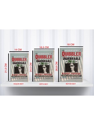 Gifi Kitap Görünümlü Dekoratif Kutu 3 Lü Set Harry Potter Lisanslı     Quibbler