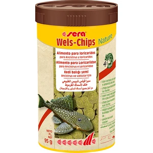 Wells Chips 250 Ml