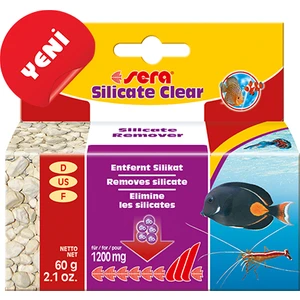 Silicate Clear 60GR