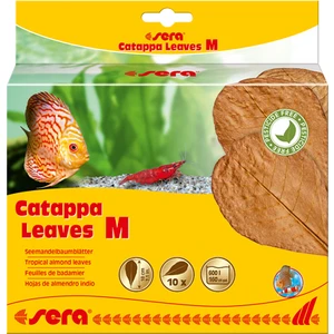 Catappa Yaprağı M 18 cm 10 Adet