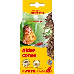 Alder Cones Kızılağaç Kozalağı (50 Adet)