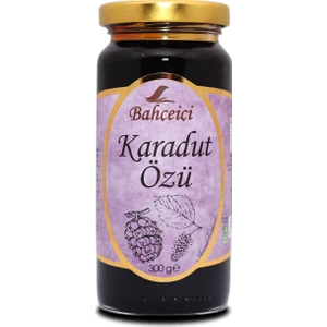 Karadut Özü 300 gr