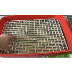 A.C.E.K Plastik 50X50 Ölçü Plastik Tavşan Kafesi Taban Izgarası (Siyah)