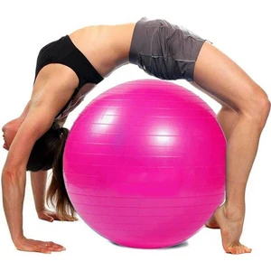 Oliva Nero 65 cm Fitilli Pilates Topu ve Pompa Seti Plates Denge Yoga Spor Egzersiz Top