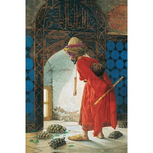 Kaplumbağa Terbiyecisi Kanvas Tablo