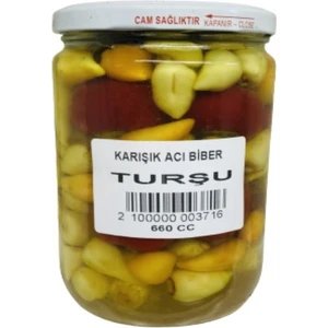Sebze Meyve Dünyası	 Karışık  Acı  Biber Turşusu 660 gr