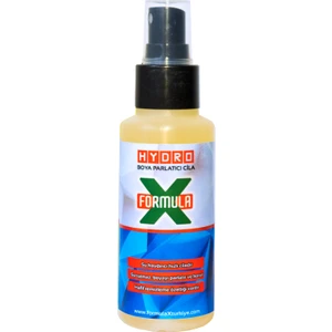 Formula X Formulax Hydro Boya Koruyucu & Parlatıcı Sprey Cila 100 ml