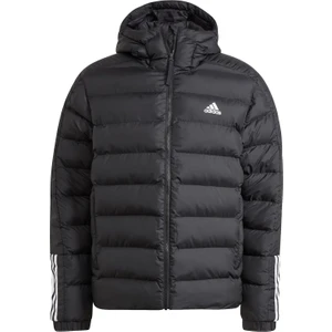 Adidas Erkek Outdoor Montu Itavic M H Jkt GT1674 Siyah