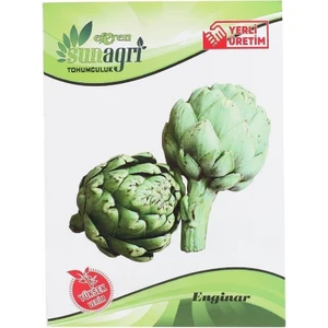 Enginar Sebze Tohumu