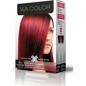 Sea Color 4.6 Kestane Kızılı Set Boya