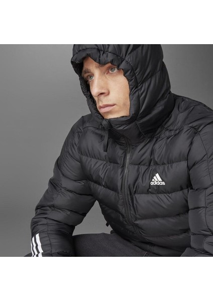 Itavic 3-Stripes Midweight Kapüşonlu Mont GT1674 fırsatları
