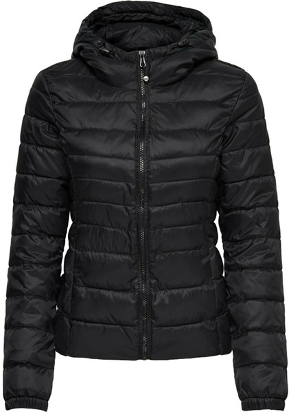 15156569 Kapşonlu Kısa Şişme Mont Black fırsatları