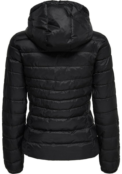 15156569 Kapşonlu Kısa Şişme Mont Black indirimleri