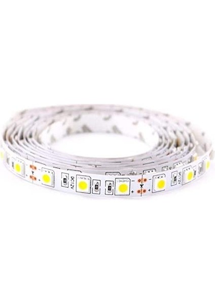 CT-4505 1ç Dış Mekan G.ışığı LED Şerit(5 Mt) Cata