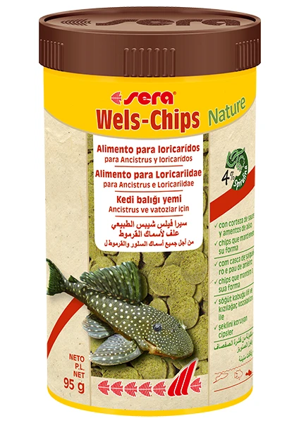 Wells Chips 250 Ml