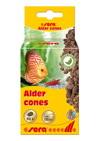 Alder Cones Kızılağaç Kozalağı (50 Adet)