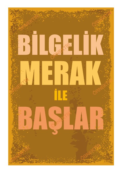 Bilgelik Merak ile Başlar Duvar Yazıları Retro Ahşap Poster