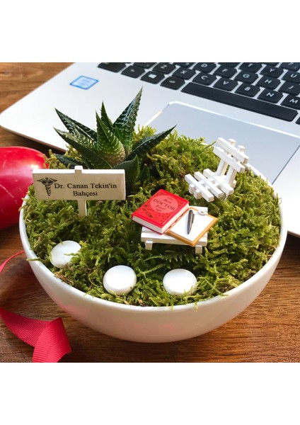 Doktorlar için Teşekkür Teraryumu - Luna Koleksiyonu modelleri