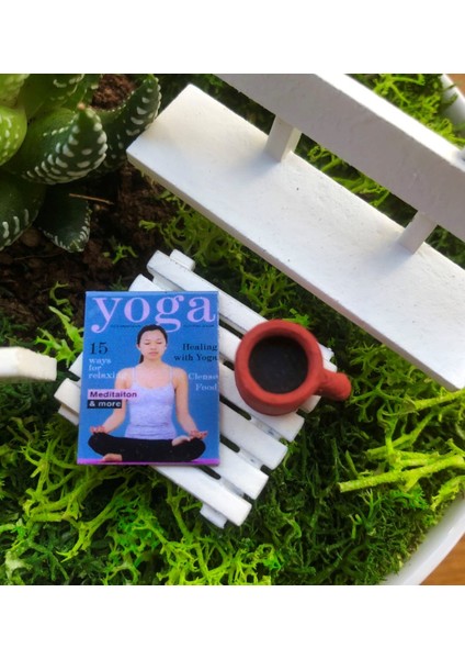 Kişiye Özel Yoga Yapanlar Için Sukulent Bahçe