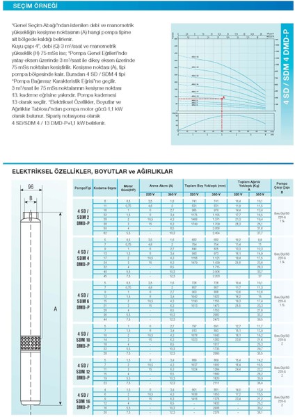 4sdm4/10 1 Hp (220V) Dalgıç Pompa fiyatları