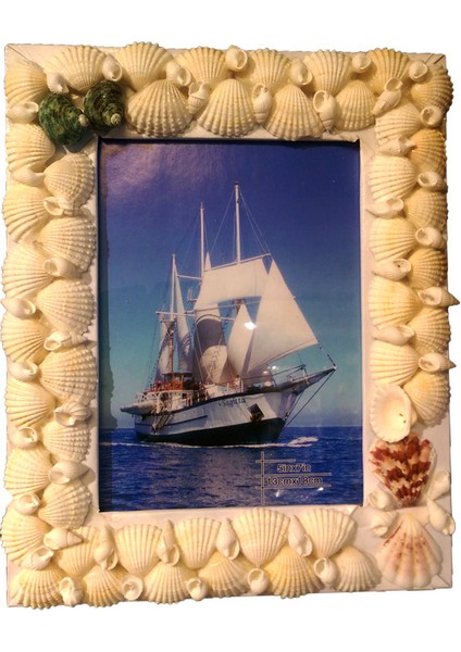 Polyester Dekoratif Deniz Kabuku Fotoğraf Çerçeve