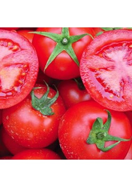 500 Adet Tohum Mega Paket Falcon Falkon Domates Tohumu Bolverimli Erkenci Domates Sürpriz Li