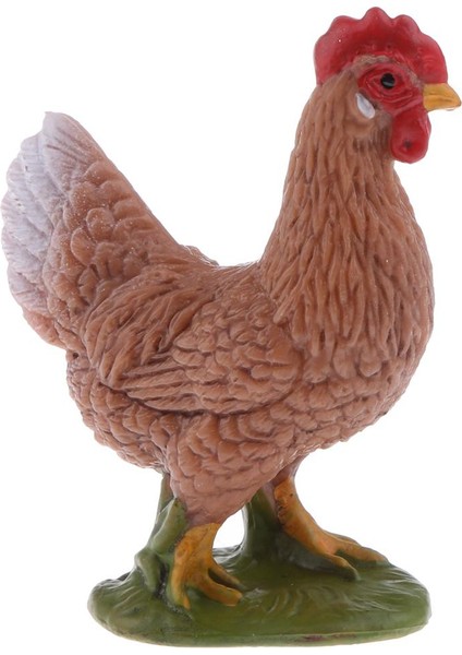 Hayvanat Bahçesi Hayvan Kuş Modeli Çocuk Eğitim Oyuncağı (Yurt Dışından)