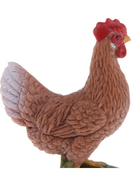 Hayvanat Bahçesi Hayvan Kuş Modeli Çocuk Eğitim Oyuncağı (Yurt Dışından)