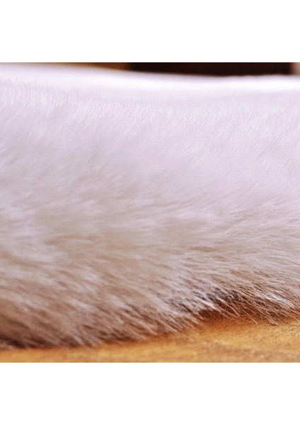 Yıkanabilir Kaymaz Taban Post Peluş Çocuk Halısı Beyaz