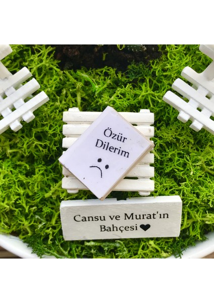 Özür Hediyesi Teraryum Sukulent - Luna Koleksiyonu fiyatları