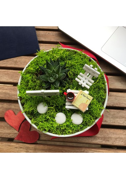 Kitap Severe Teraryum Küçük Prens - Luna Koleksiyonu modelleri