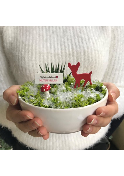 Yılbaşı Hediyesi Teraryum - Luna Koleksiyonu