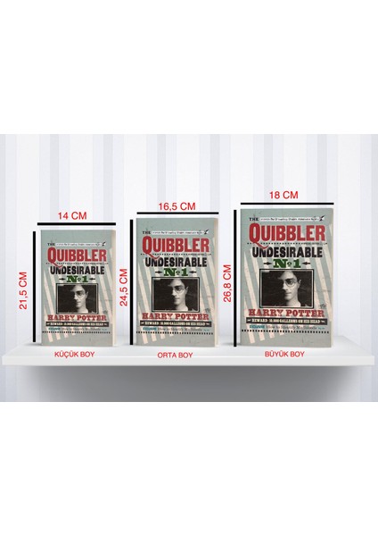 Kitap Görünümlü Dekoratif Kutu 3 Lü Set Harry Potter Lisanslı Quibbler