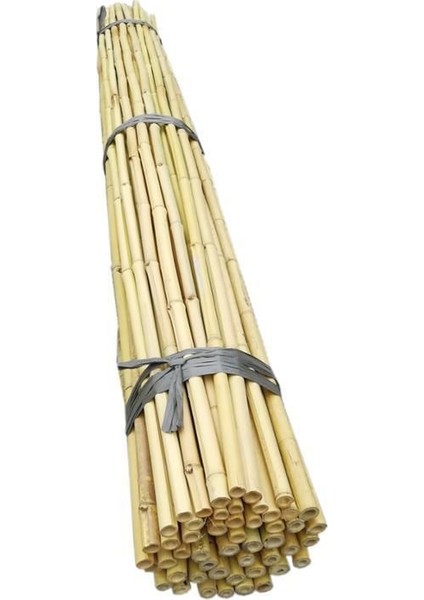 Fidan Destek Çubuğu Kamış 180-190 cm Boy (10'lu Paket)