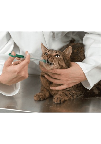 Kedi Hap Yutturma Enjektörü 2'li Set