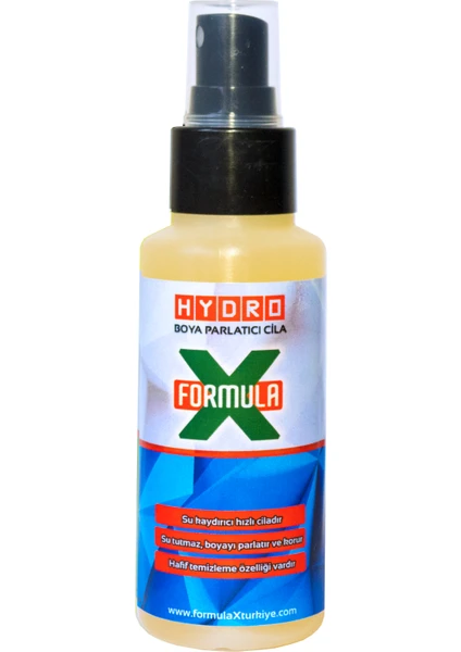 Formula X Formulax Hydro Boya Koruyucu & Parlatıcı Sprey Cila 100 ml