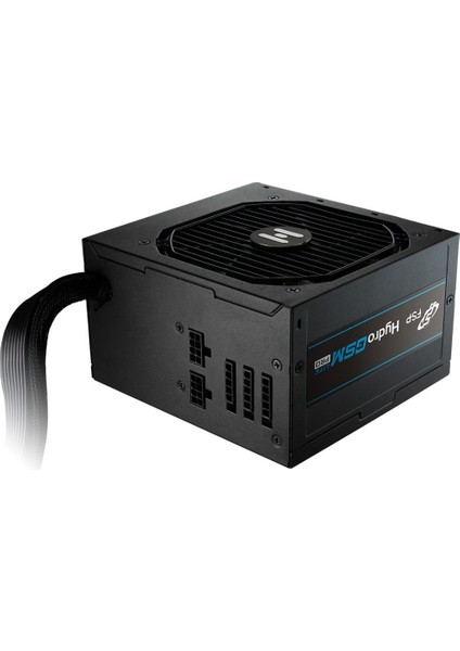 Fsp HGS-650M 650W 80+ 120MM Fan Power Supply