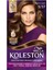 Koleston Kışkırtıcı Kahve Set Krem Saç Boyası 1