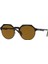 Po 2488S 111633 51 Ekartman Unisex Güneş Gözlüğü 1
