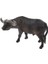 Buffalo Heykeli Çocuk Eğitim Oyuncağı (Yurt Dışından) 1