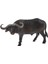 Buffalo Heykeli Çocuk Eğitim Oyuncağı (Yurt Dışından) 2