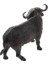 Buffalo Heykeli Çocuk Eğitim Oyuncağı (Yurt Dışından) 3